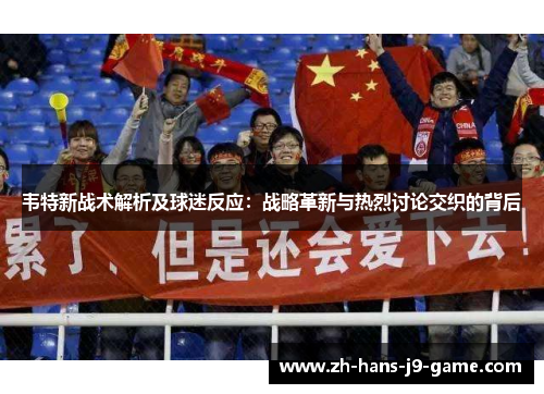 韦特新战术解析及球迷反应：战略革新与热烈讨论交织的背后