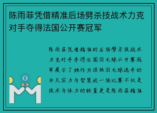 陈雨菲凭借精准后场劈杀技战术力克对手夺得法国公开赛冠军